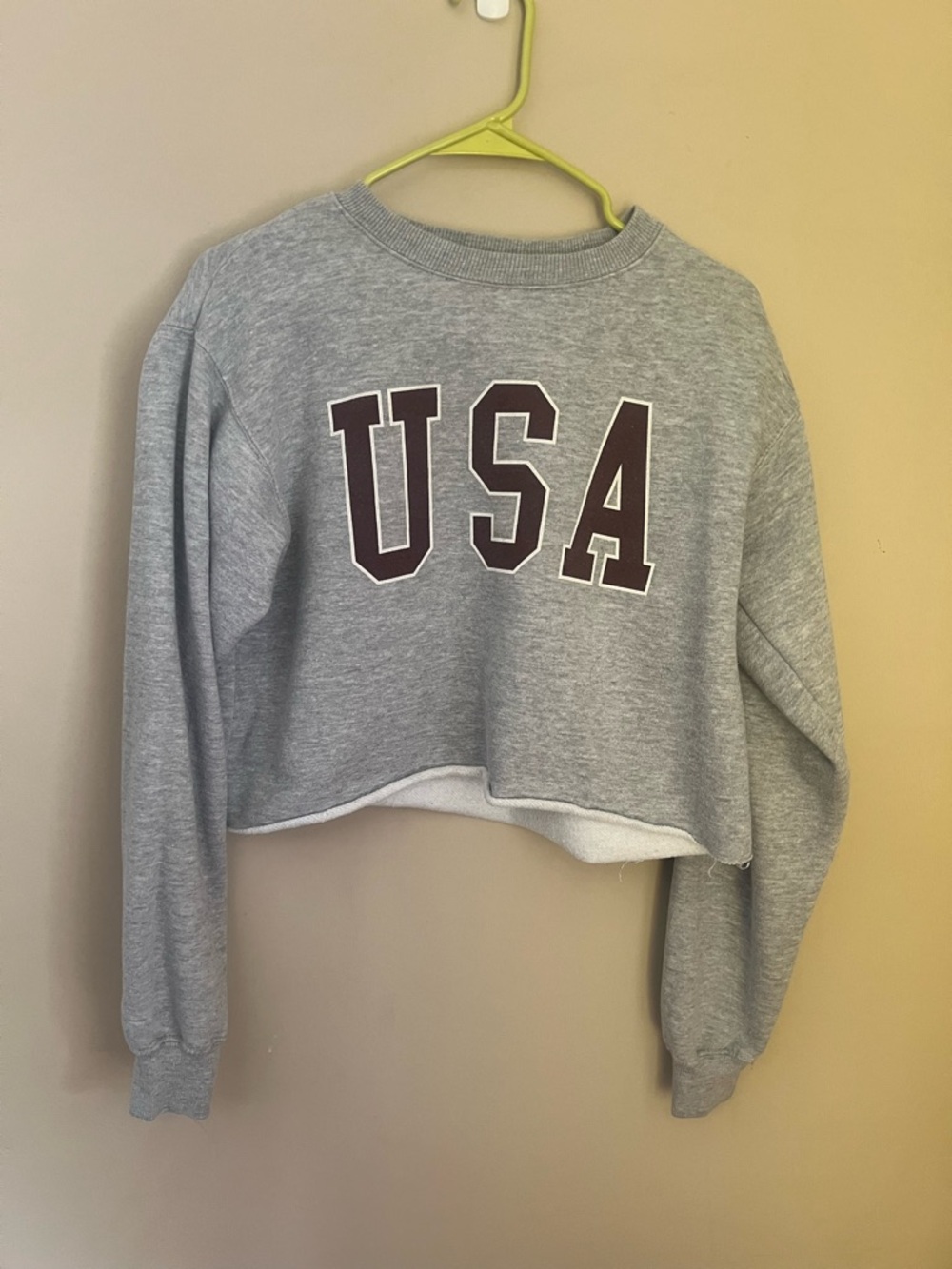 Brandy Melville Gray Cropped Sweatshirt with Maroon USA Letters